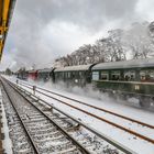 Volldampf im kalten Berlin 