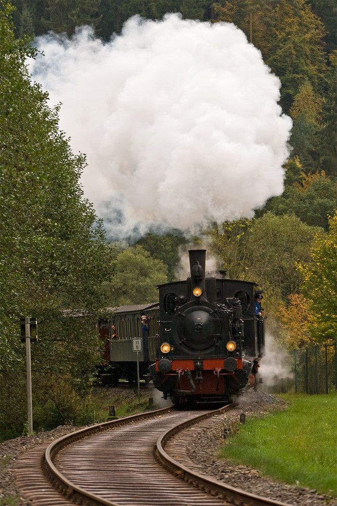 Volldampf im Pfälzerwald