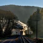 Volldampf im Schwarzwassertal