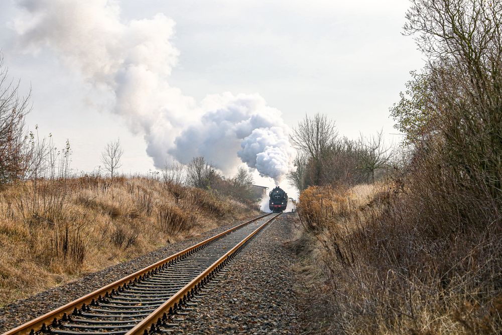 Volldampf in Blankenfelde