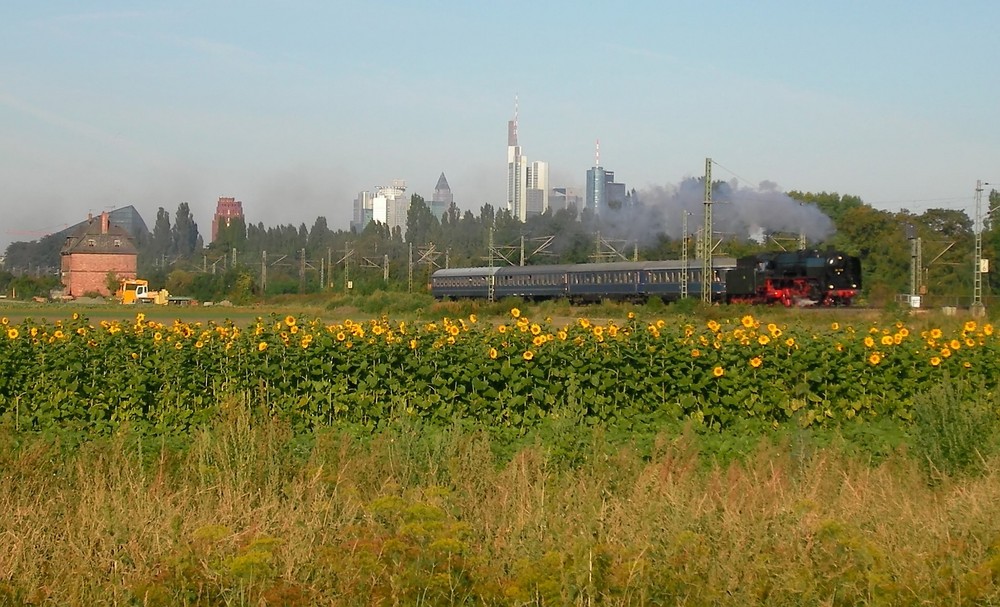 Volldampf nach Fürth