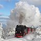 Nationalpark Harz