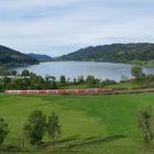 Volle Beitseite am Alpsee