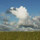 volle Breite mit Deich und luftigen Wolken