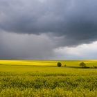 Volle Kanne April