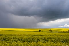 Volle Kanne April