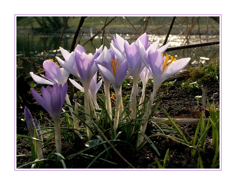 Volle Kanne Frühling!