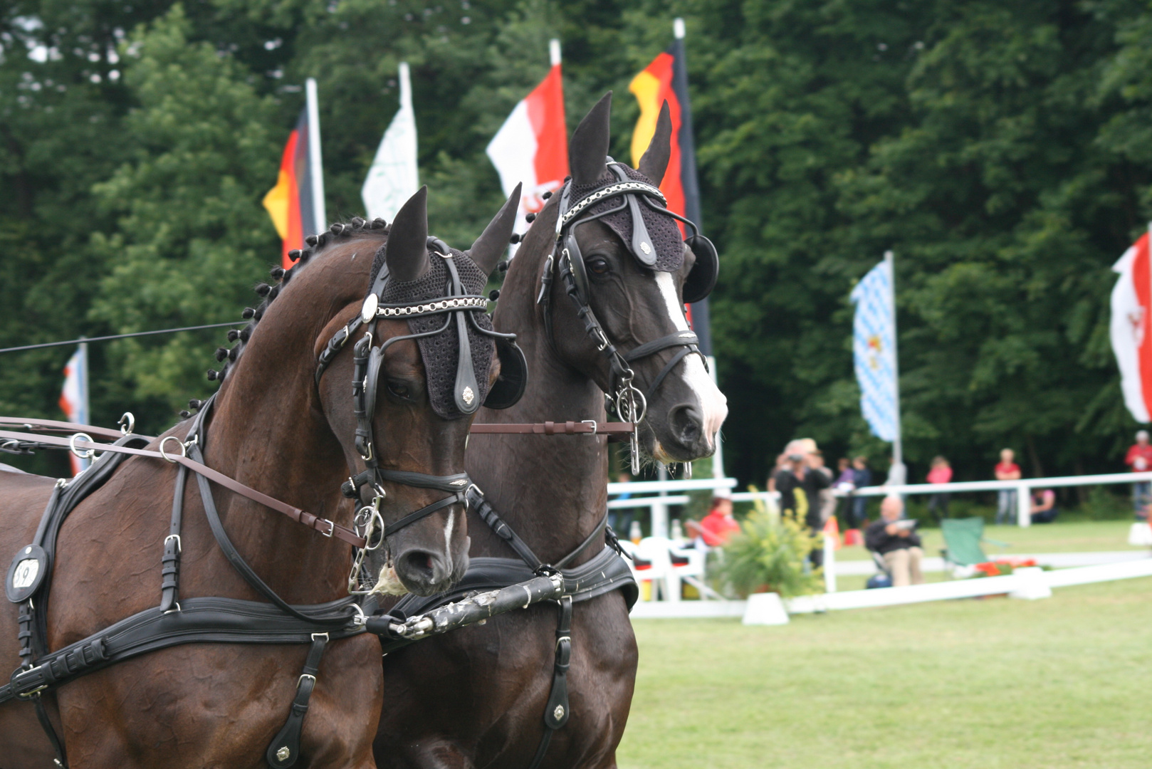 volle Konzentration