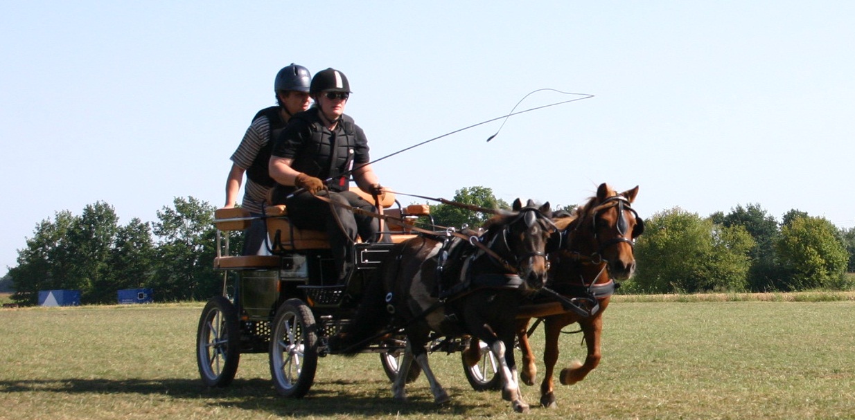 Volle Konzentration