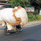 Volle Ladung, Yokjakarta, Indonesien