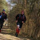 Volle Power beim Trailrunning