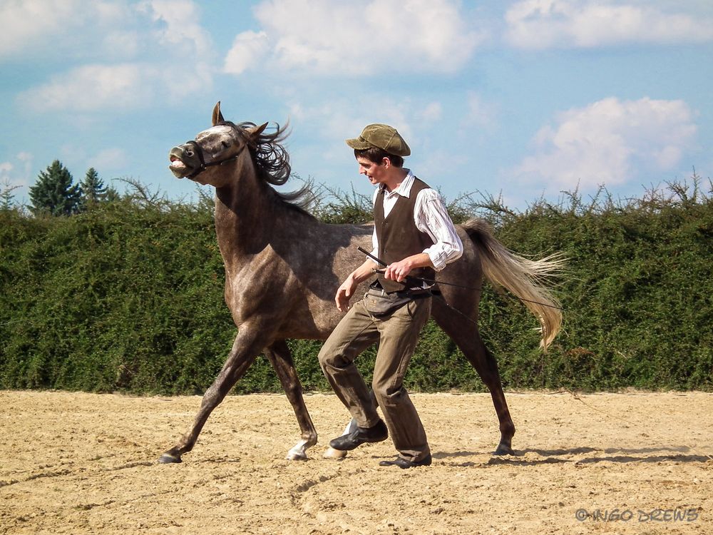 Vollendete Choreografie