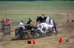 voller Einsatz