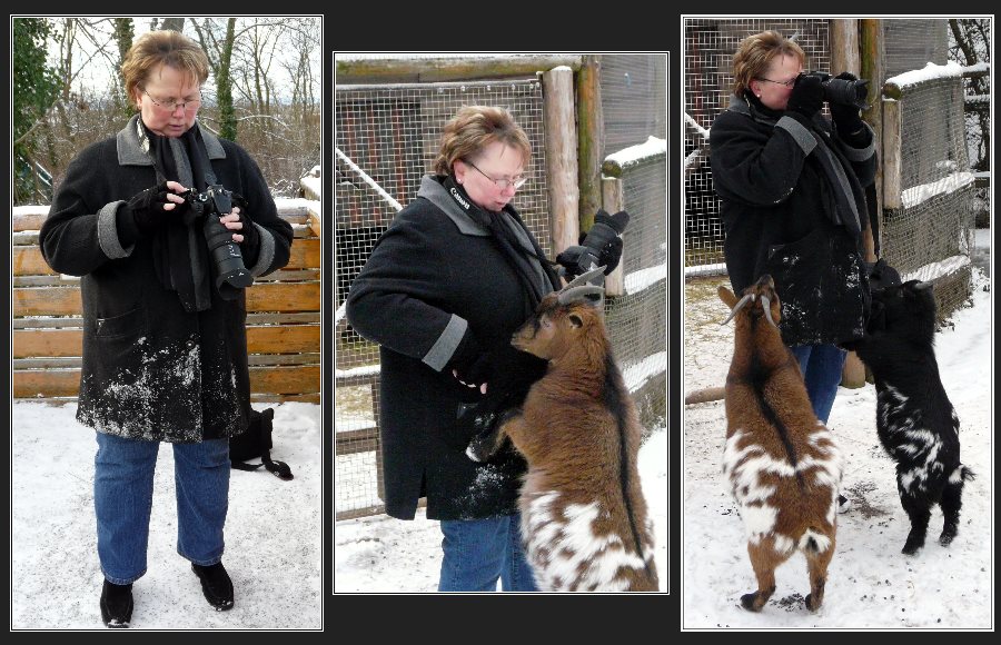 Voller Fotografeneinsatz...