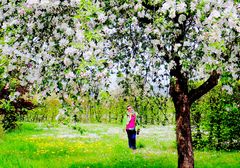 Voller Frühling!