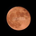 Voller Mond rot