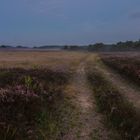 Voller Rundumblick über die Mehlinger Heide