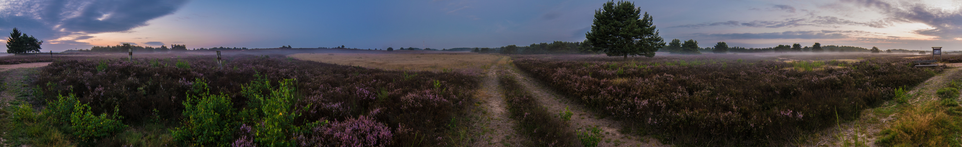 Voller Rundumblick über die Mehlinger Heide