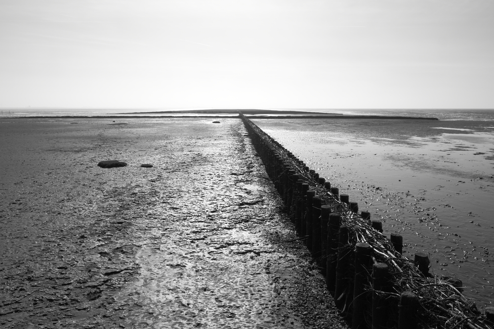 Vollerwiek Wattenmeer