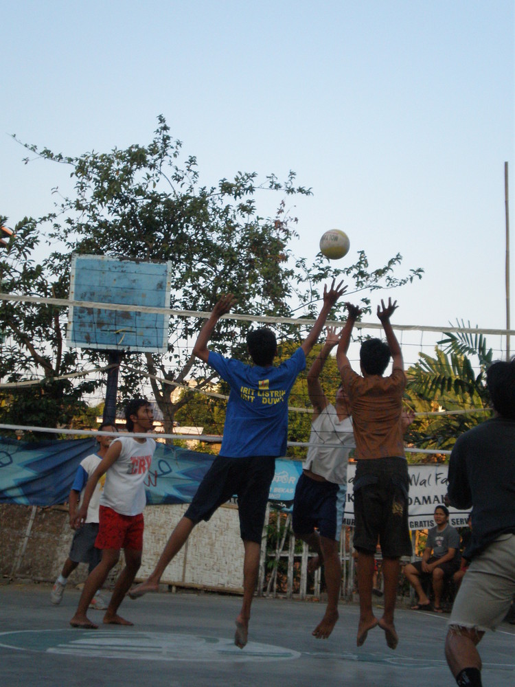 Volley Match