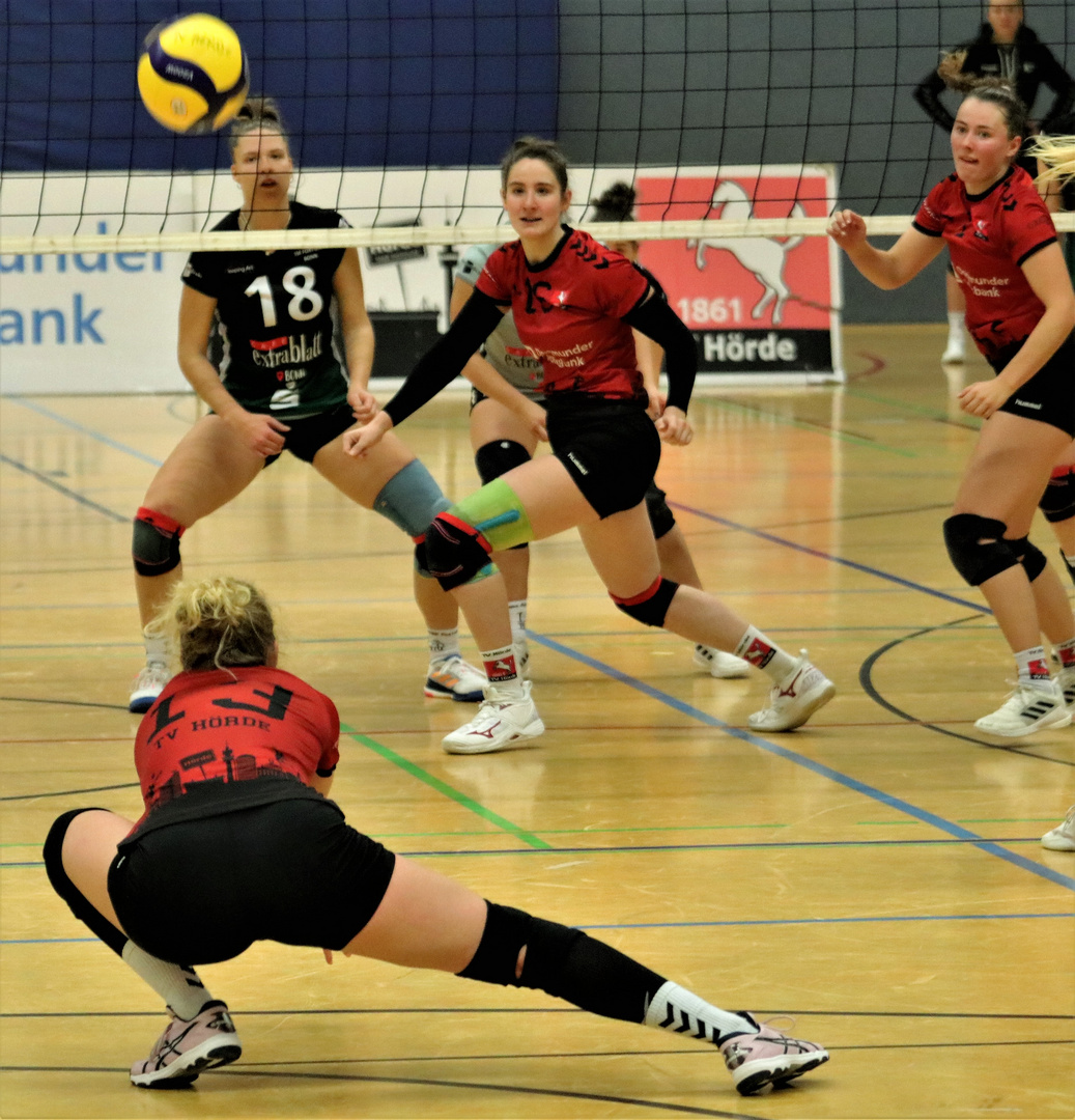 Volleyball Action