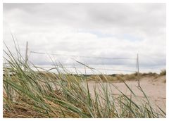 Volleyball am Strand