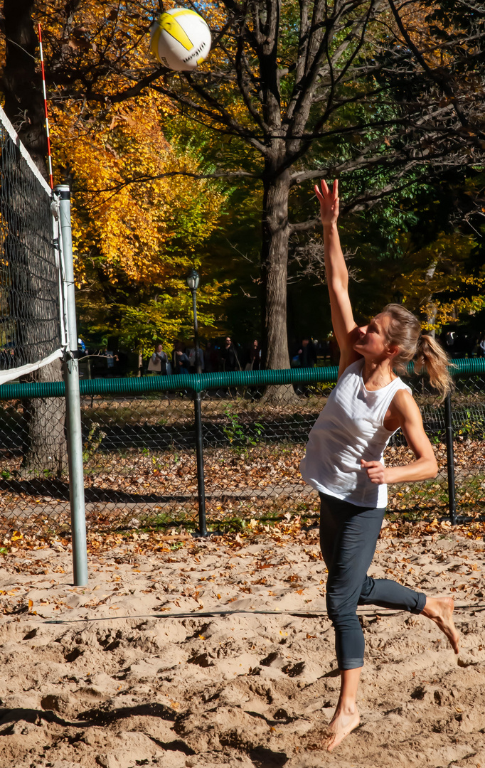 Volleyball in Central Park