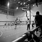 Volleyball Match