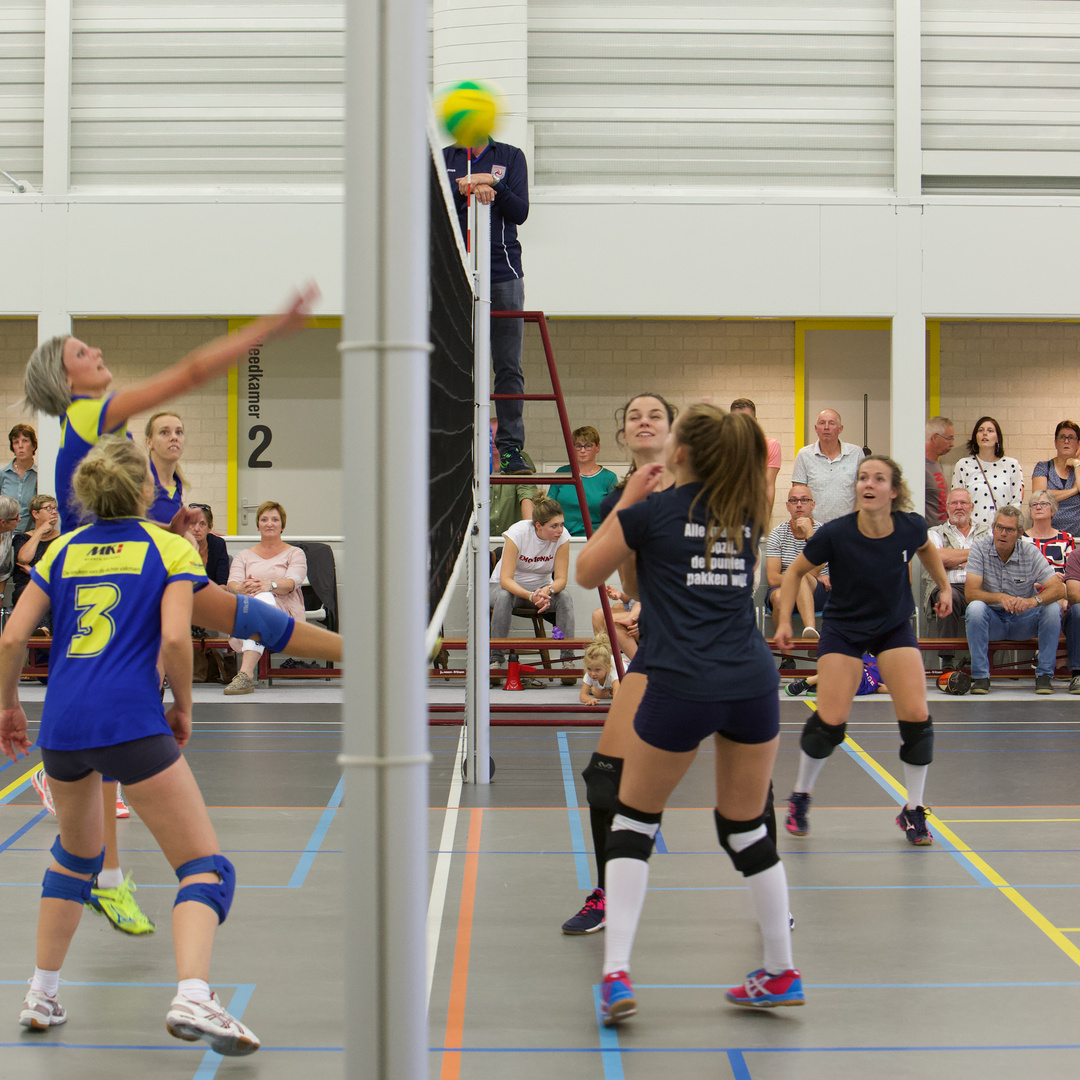 Volleyball match ladies