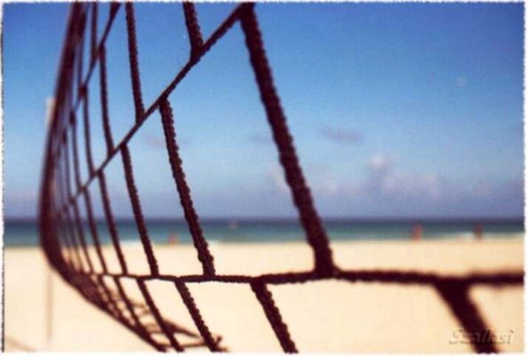 Volleyballnetz