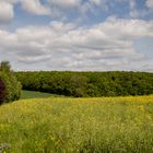 Vollfrühling