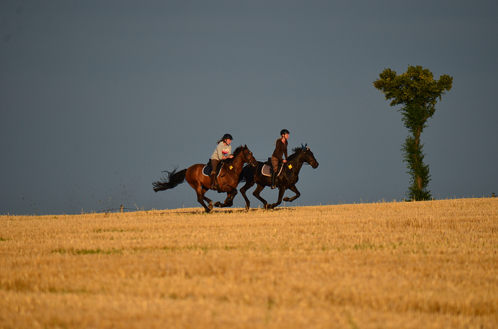 ...Vollgalopp...