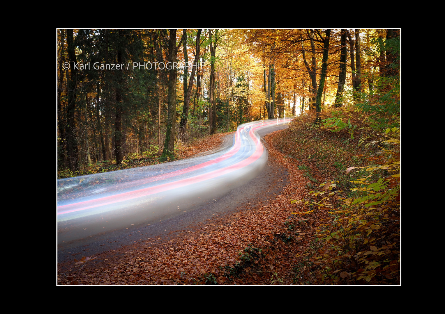 Vollgas durch den Herbstwald