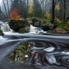 Vollherbst an der Hoëgne