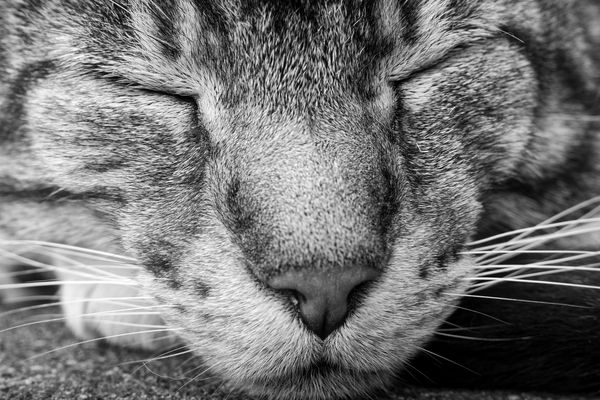 Vollkommen entspannt