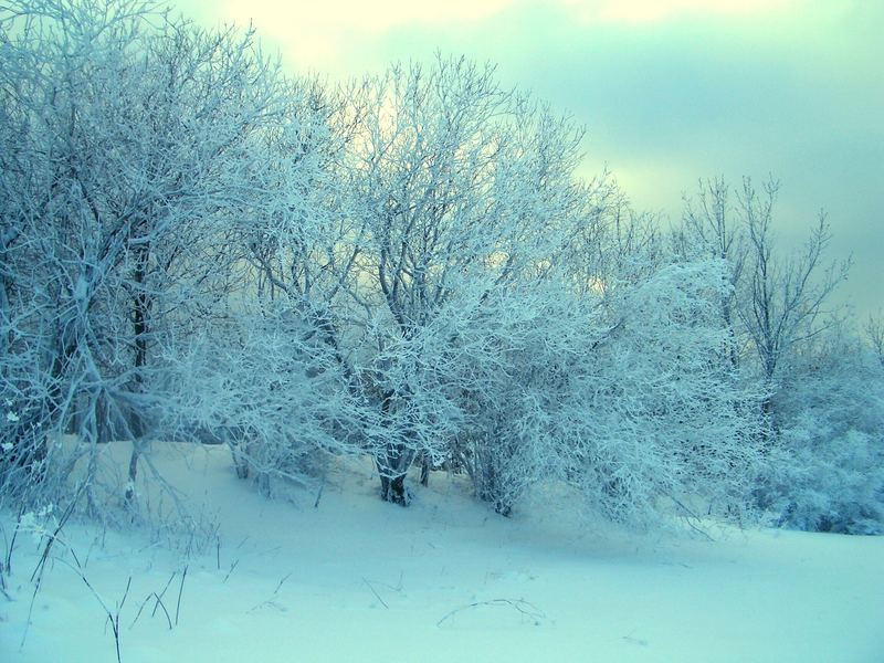 Vollkommen mit Schnee bedeckt..!