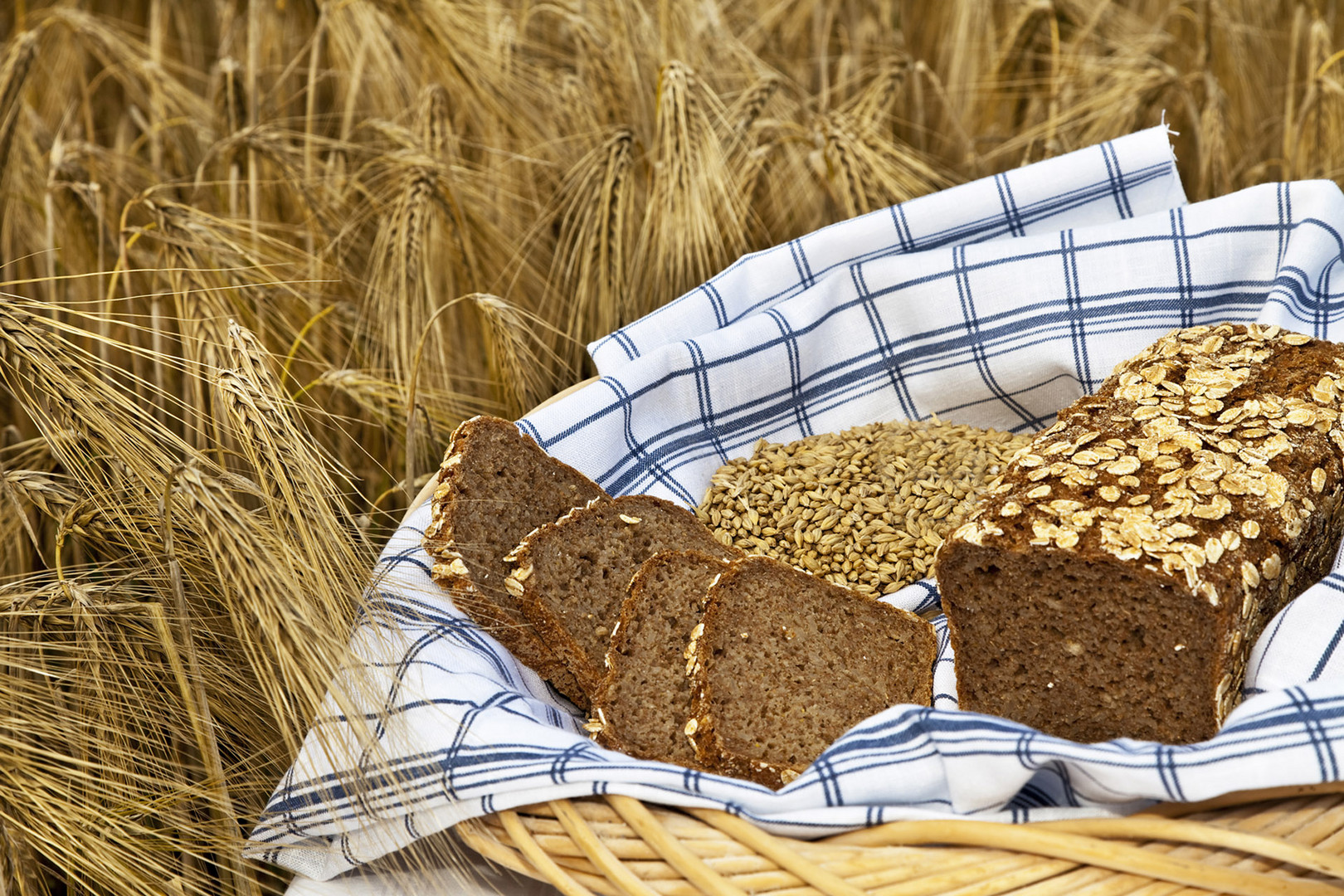 Vollkornbrot im Getreidefeld