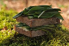 Vollkornbrot mit Käse und Bärlauch ….