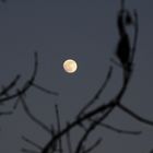 Vollmond 07.02.20