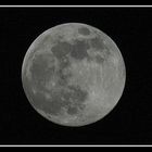 Vollmond 10 Januar