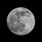 Vollmond 15.04. 2022