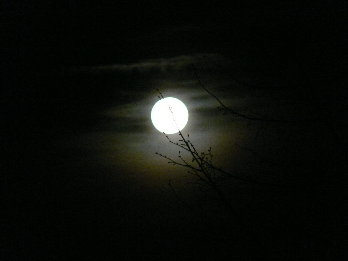 Vollmond