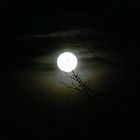 Vollmond