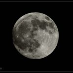 Vollmond 20.12.2010