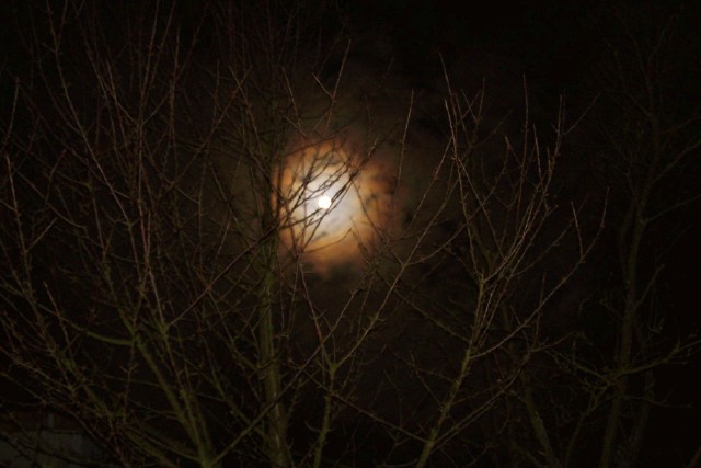 Vollmond