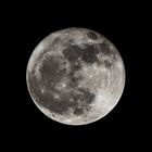 Vollmond 8.03.12