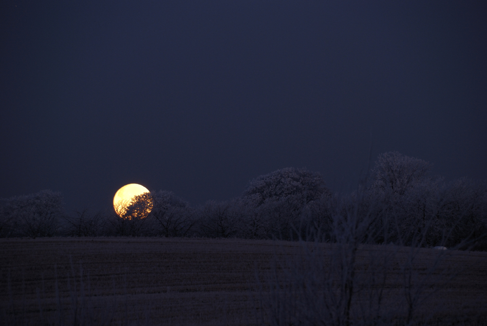 " Vollmond !"