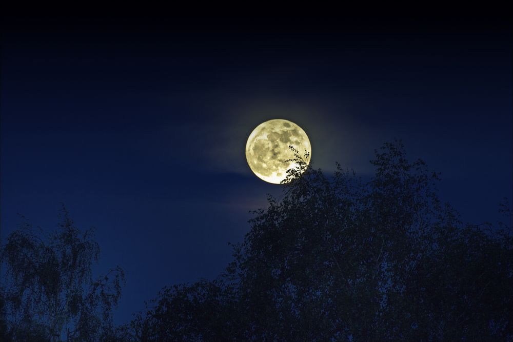Vollmond Foto & Bild  mondaufnahmen, himmel & universum, natur Bilder auf fotocommunity