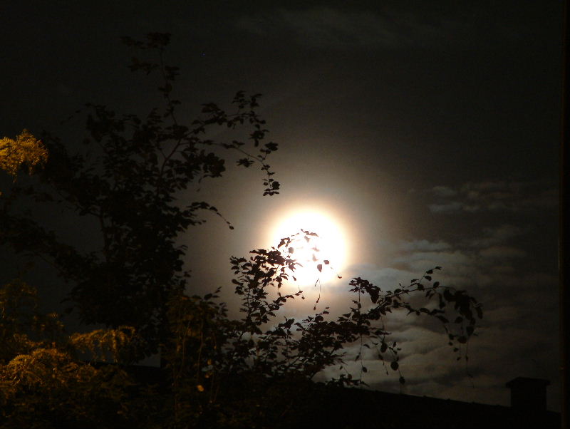 Vollmond