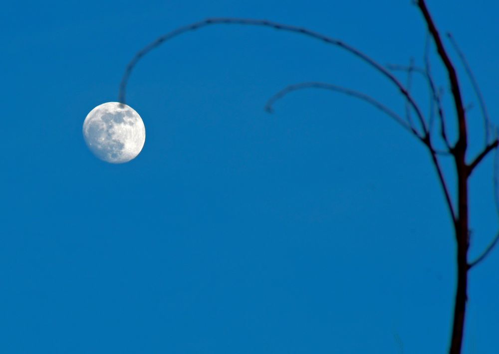 Vollmond als Stehlampe